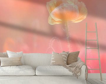 Poppy dreams part I by Monique van Genderen (in2pictures.nl fotografie)