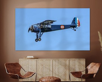 Morane-Saulnier MS.502 Criquet. van Jaap van den Berg