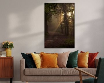 Hohenstein forest2 by Lorant Petrik