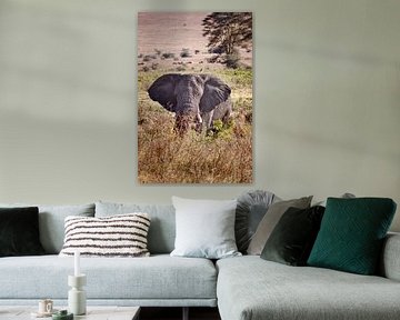 Olifant in de Ngorongoro-krater van Paul Jespers