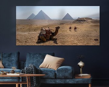 Panorama Pyramides de Gizeh avec chameau et désert sur Animaflora PicsStock