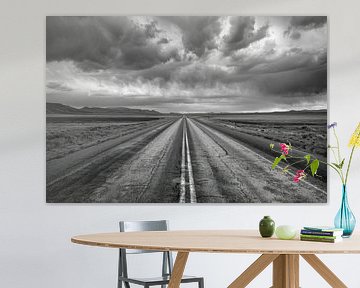 Endlose Weite – Schwarz-Weiß-Fotografie einer Straße von Poster Art Shop