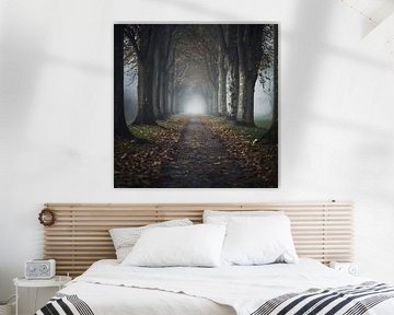 Mystiek boslandschap van Poster Art Shop