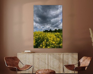 A rapeseed field under a stormy sky by Claude Laprise