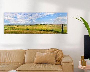 Tuscan landscape Crete Senesi by eric van der eijk