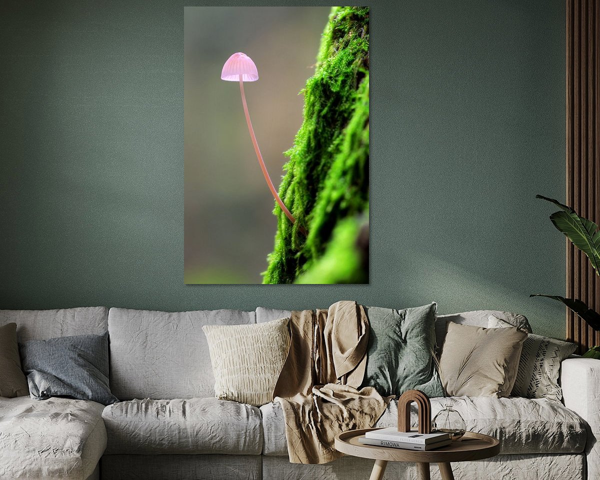 Raumvorschau