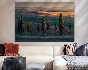 Cypresses of Val d'Orcia and the last lights of the sunset. by Stefano Orazzini
