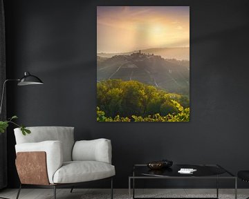 Langhe landschap en Castiglione Falletto, van Stefano Orazzini