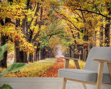 Herbstfarben Veluwe von Dennis van de Water