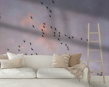 Sunset with flying migratory birds in shades of pinkish orange by Femke de Vries