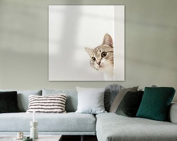 Neugierige Katze von Poster Art Shop