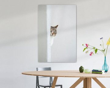 Neugierige Katze von Poster Art Shop