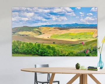 Toscaans landschap Crete Senesi van eric van der eijk