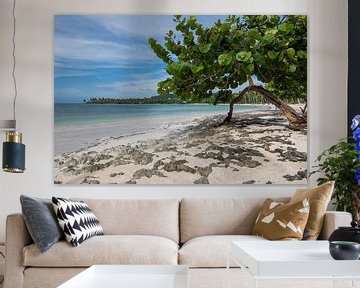 Tropical beach by Bettina Schnittert