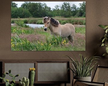 Horse in the Wieden Weerribben by Michel Jansen Photography