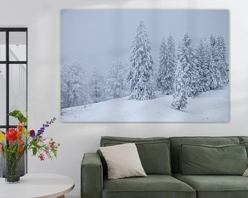 Winter in de bergen van Ulrich Kuschel
