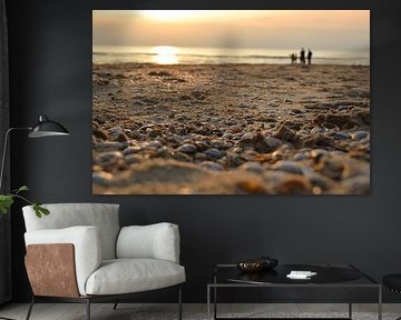 Shells at sunset, Noordwijk aan Zee
