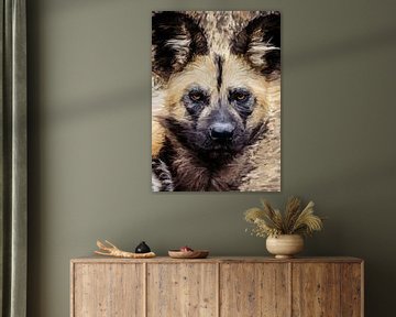 Wilde hond starend schilderij van Septif