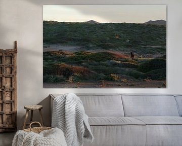 Vaarwel Menorca van Daniëlle Eibrink Jansen