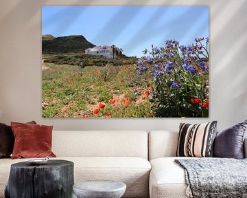 Veldbloemen Menorca van Daniëlle Eibrink Jansen