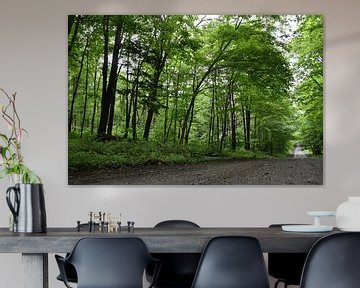 A country road in summer by Claude Laprise