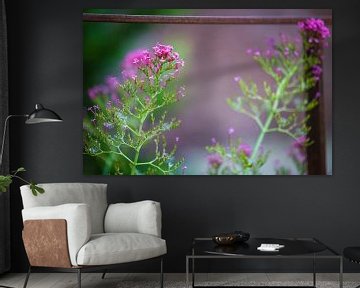 Bloemen van Miranda Jansen Fotografie