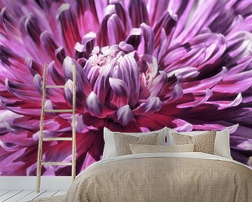 Dahlie von Violetta Honkisz