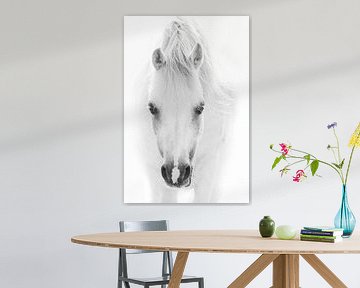 Tijdloze Zuiverheid - Portret van een Witte pony van Femke Ketelaar