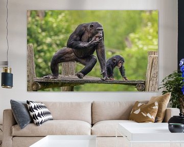 Verkennende Blikken: De Band Tussen Moeder en Kind in de Natuur van Triki Photography