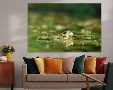 Frosch mit Spiegelung von Daniëlle Eibrink Jansen