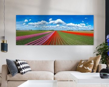 Tulpen die groeien in landbouwvelden tijdens de lente gezien vanaf