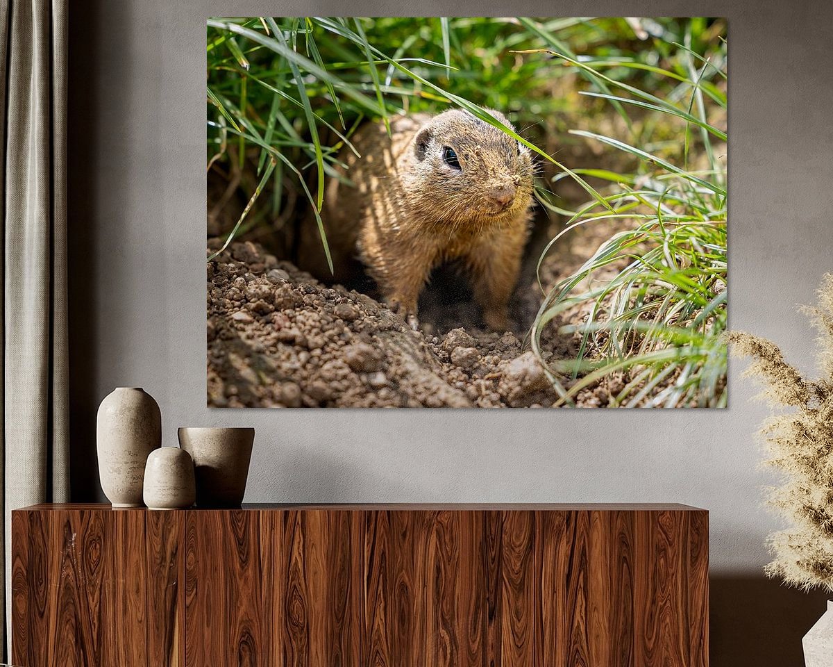 Voorbeeld van het werk in een kamer