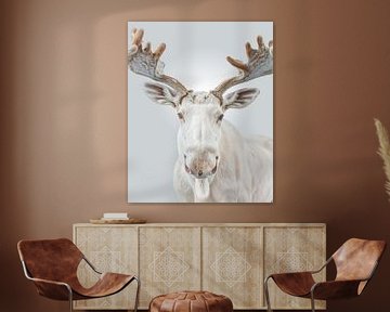 Witte Eland van Sander Hupkes