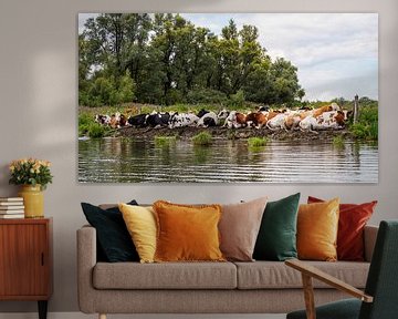 Koeien langs het water in de Biesbosch. van Roelof Aleva