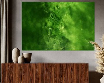 Mystic Plants - Stomata of a plant (photomicrograph) by MicroMuse Studios - Nina Gruber