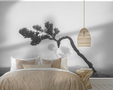 Fanal Forest in the mist by Ton van den Boogaard