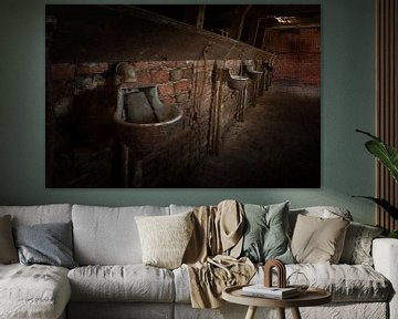 Oude verlaten koeienstal in Groningen van KB Design & Photography (Karen Brouwer)