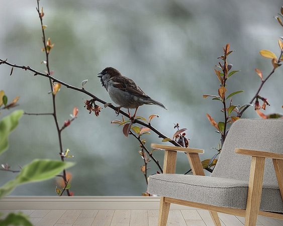 Voorbeeld van het werk in een kamer