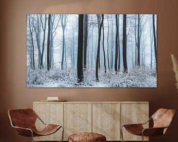 Paysage d'hiver