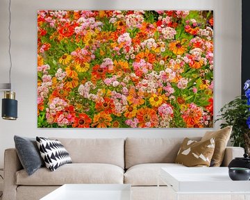 Kleurrijke dubbelopname van zomerbloemen