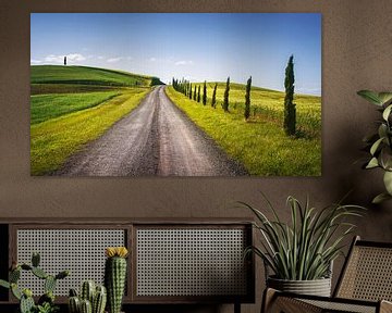 Monteroni d'Arbia, route van de via francigena. Toscane van Stefano Orazzini