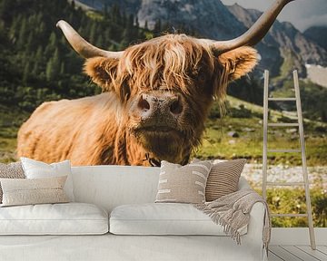 Hooglanders in de Alpen van Stefan Wanning