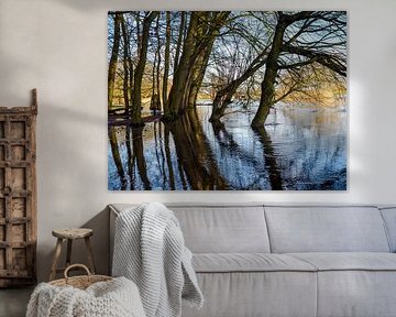 Hautes eaux de la Dommel