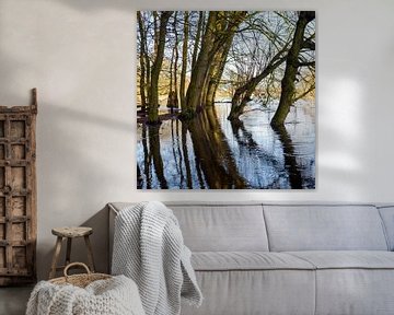 Rivier de Dommel in de winter bij hoog water. van Roelof Aleva