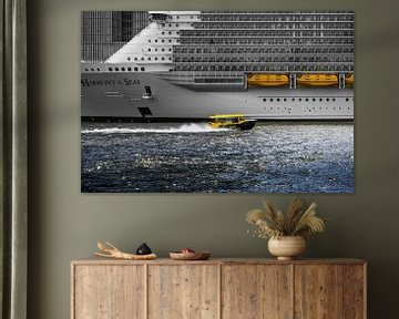 Een Rotterdamse watertaxi zoeft langs een majestueus cruiseschip van Luc de Zeeuw