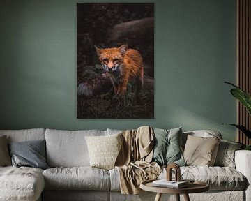 Rode vos in het dichte kreupelhout van een Duits bos van Stefan Wanning