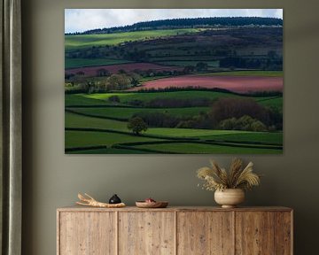 Somerset Landscape van Hans Kool