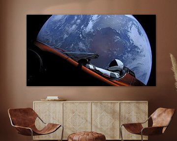 De SpaceX Starman van Steven Kingsbury