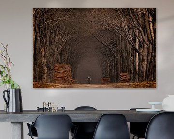the lonelier cyclist by Roy De vries