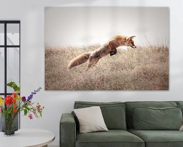 Chasse au renard roux | photographie de nature | faune et flore sur Laura Dijkslag